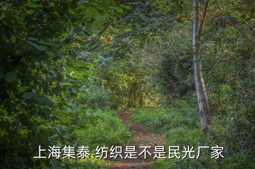  上海集泰 紡織是不是民光廠家