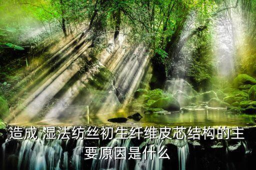 濕法紡織