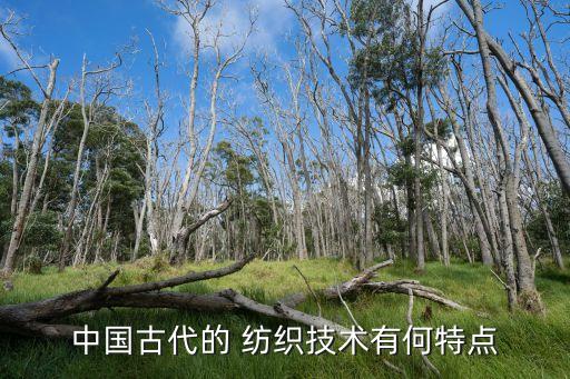 中國(guó)古代的 紡織技術(shù)有何特點(diǎn)