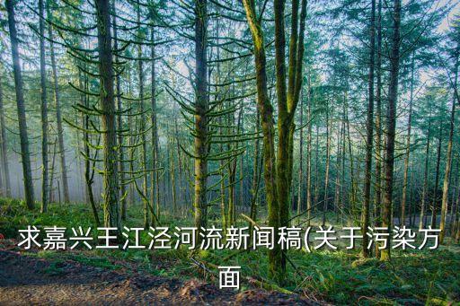 嘉興市榮祥噴織有限公司