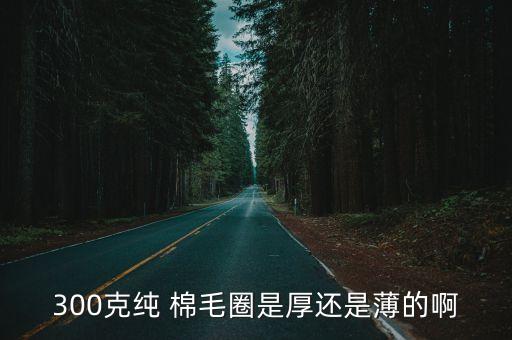 300克純 棉毛圈是厚還是薄的啊