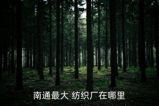 南通最大 紡織廠在哪里