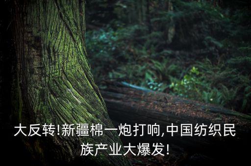 2017紡織業(yè)進口額多少