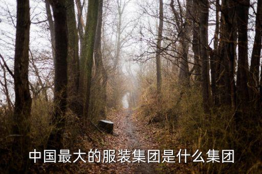 廣東最大的紡織企業(yè)排名,中國最大紡織企業(yè)排名