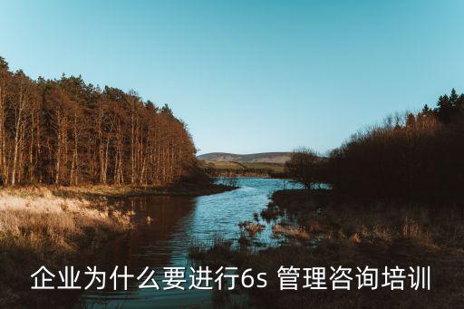 企業(yè)為什么要進(jìn)行6s 管理咨詢培訓(xùn)