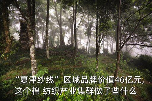 “夏津紗線”區(qū)域品牌價值46億元,這個棉 紡織產(chǎn)業(yè)集群做了些什么