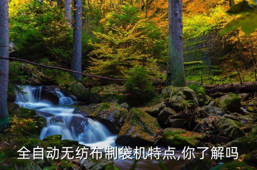 全自動無紡布制袋機特點,你了解嗎