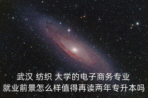  武漢 紡織 大學的電子商務專業(yè) 就業(yè)前景怎么樣值得再讀兩年專升本嗎