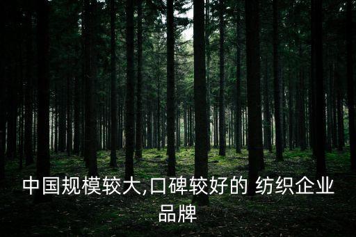 中國規(guī)模較大,口碑較好的 紡織企業(yè)品牌