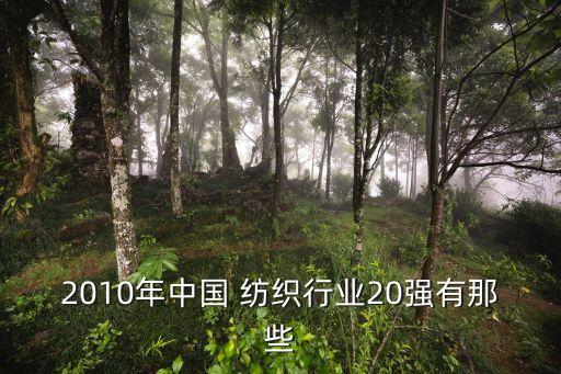 2010年中國 紡織行業(yè)20強(qiáng)有那些