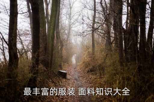 芳綸 面料,芳綸面料沾染了顏色怎么辦