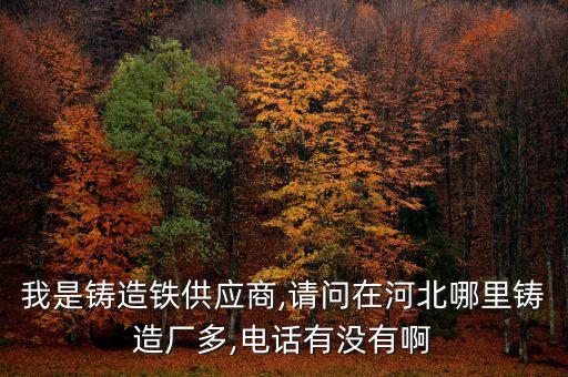 我是鑄造鐵供應(yīng)商,請問在河北哪里鑄造廠多,電話有沒有啊