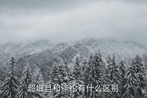 揭陽市粵?；w有限公司,粵海化纖有限公司上市