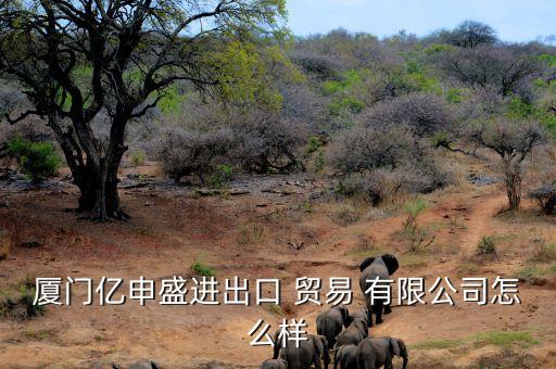 廈門億申盛進(jìn)出口 貿(mào)易 有限公司怎么樣
