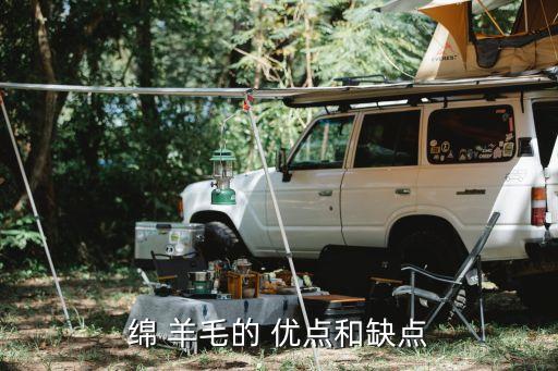 羊毛面料克重高的優(yōu)點(diǎn)