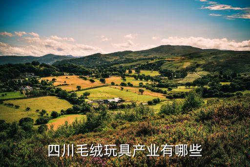 四川毛絨玩具產(chǎn)業(yè)有哪些