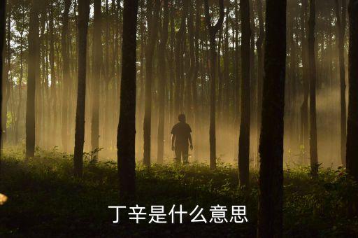 國際紡織導(dǎo)報(bào) 東華大學(xué)