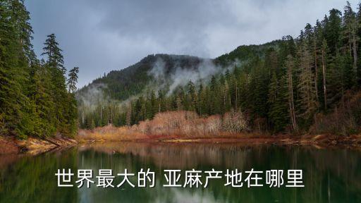 蘭西天纖坊亞麻有限公司