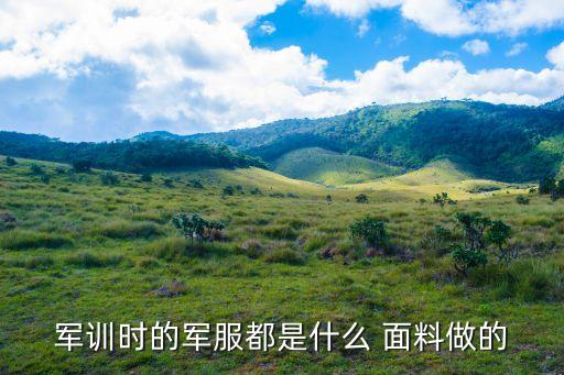 滌棉面料色牢度國標(biāo)一等品,國標(biāo)一等品色牢度要求