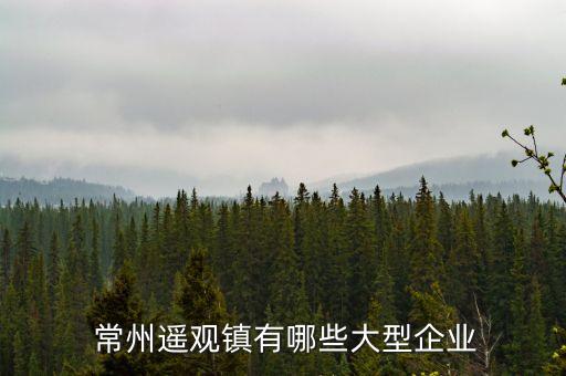  常州遙觀鎮(zhèn)有哪些大型企業(yè)