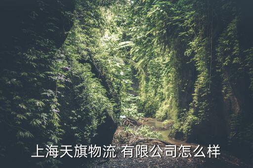 上海天旗物流 有限公司怎么樣