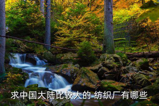 求中國大陸比較大的 紡織廠有哪些