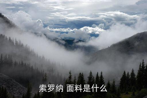 索羅納 面料是什么