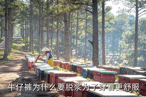  牛仔褲為什么要脫漿為了穿著更舒服