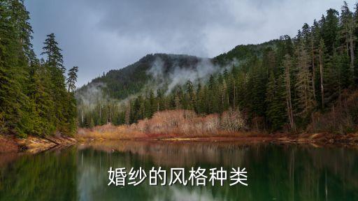 彩點紗面料圖片,真絲紗是什么面料圖片