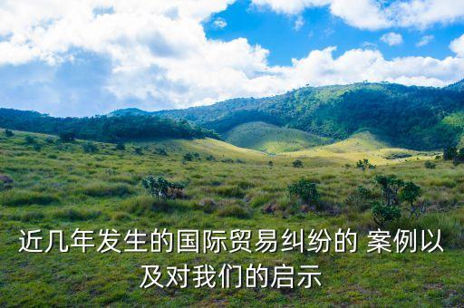 近幾年發(fā)生的國(guó)際貿(mào)易糾紛的 案例以及對(duì)我們的啟示