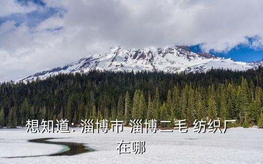 想知道: 淄博市 淄博二毛 紡織廠在哪