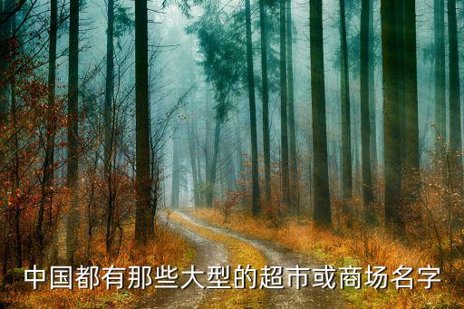 中國都有那些大型的超市或商場名字