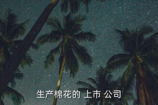 紡織出口上市公司,中國十大紡織上市公司