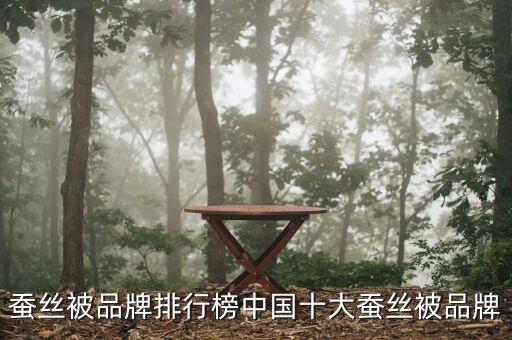 蠶絲被品牌排行榜中國十大蠶絲被品牌