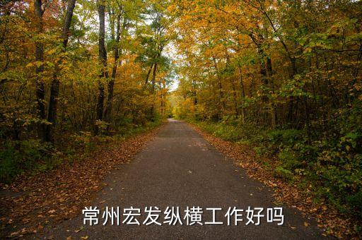  常州宏發(fā)縱橫工作好嗎