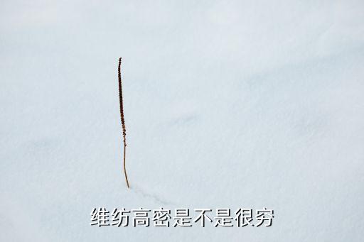 濰坊紡織廠,山東濰坊紡織廠