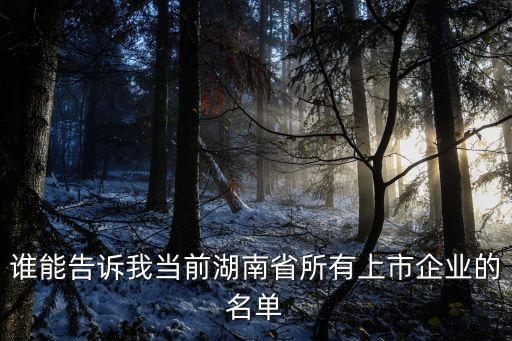 誰能告訴我當(dāng)前湖南省所有上市企業(yè)的名單