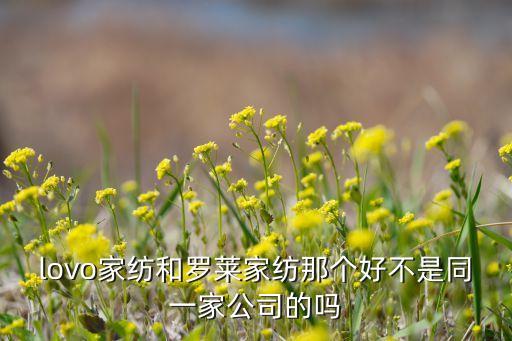 電商平臺上海紡織,紡織b2b電商平臺