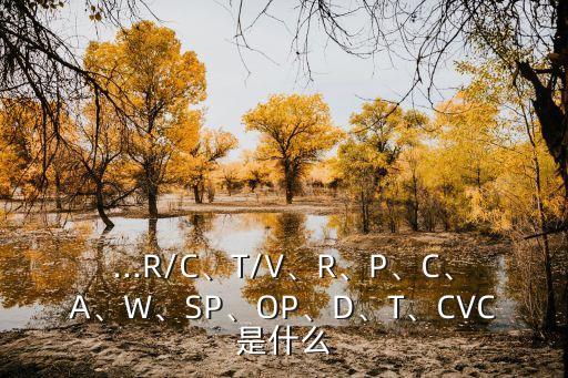 ...R/C、T/V、R、P、C、A、W、SP、OP、D、T、CVC是什么