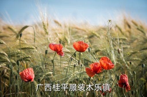 廣西桂平服裝木樂(lè)鎮(zhèn)