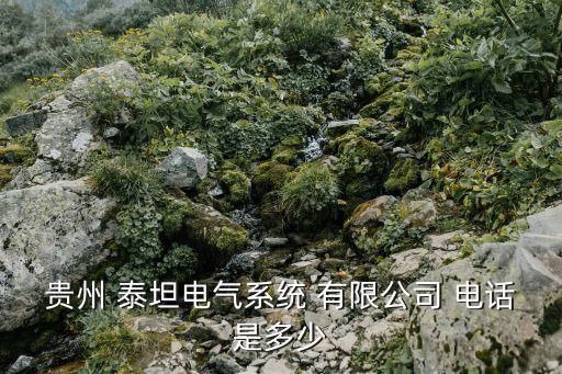 貴州 泰坦電氣系統(tǒng) 有限公司 電話是多少