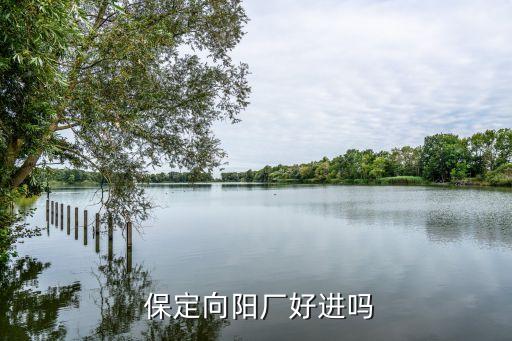  保定向陽廠好進(jìn)嗎