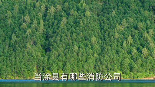 當(dāng)涂縣有哪些消防公司