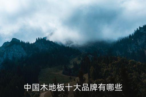 中國(guó)木地板十大品牌有哪些