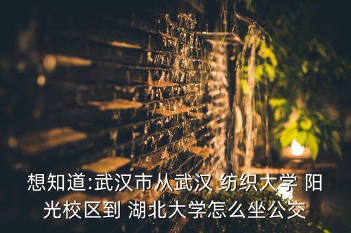 想知道:武漢市從武漢 紡織大學 陽光校區(qū)到 湖北大學怎么坐公交