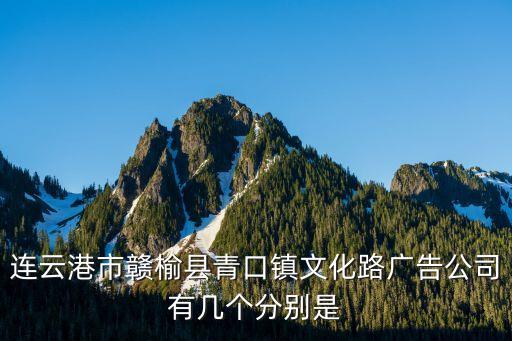 連云港市贛榆縣青口鎮(zhèn)文化路廣告公司有幾個(gè)分別是