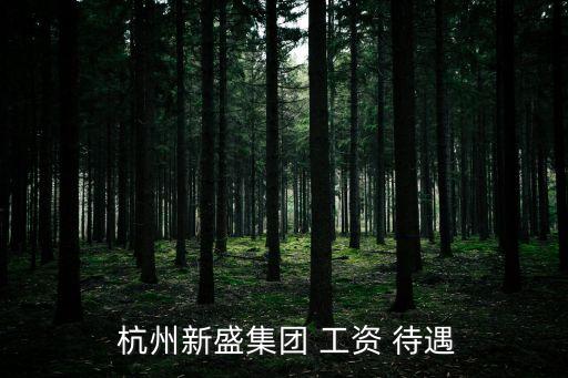  杭州新盛集團(tuán) 工資 待遇