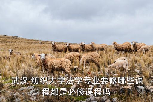  武漢 紡織大學(xué)法學(xué)專業(yè)要修哪些課程都是必修課程嗎