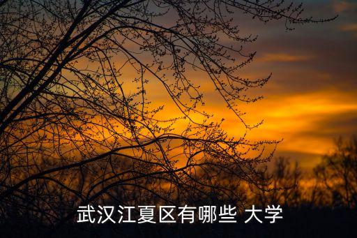  武漢江夏區(qū)有哪些 大學(xué)