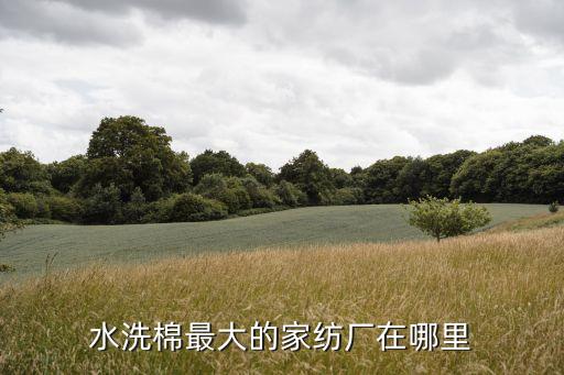 江蘇好的面料市場(chǎng),江蘇毛紡面料市場(chǎng)在哪里
